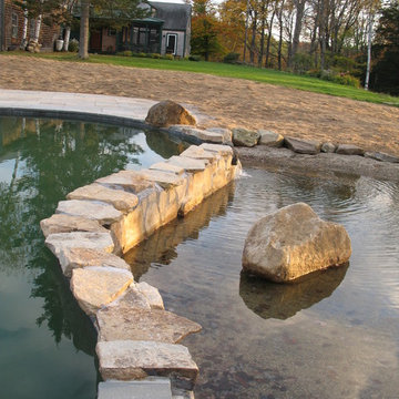 Natural Pool with separate regeneration area