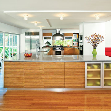 Longboat Key Renovation