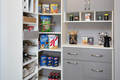 Photo of a contemporary l-shaped kitchen pantry in Philadelphia with flat-panel cabinets, grey cabinets, porcelain floors, grey floor and laminate benchtops.