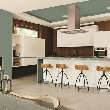 2016 Paint Color of the Year - Paradise Found