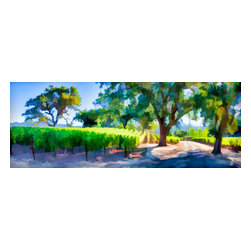 Douglas Page Photographic Arts - Vineyard Lane, Pano, Art, Giclee On Canvas, 36"x12" - Prints And Posters