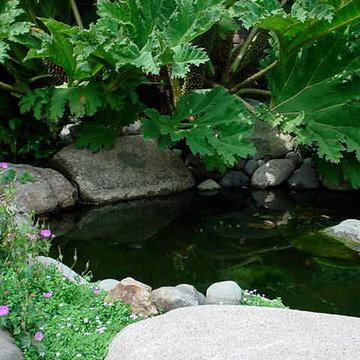 Water Features