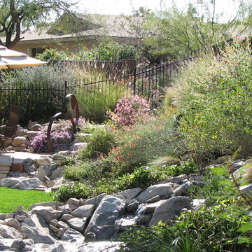 Elegant, Natural Walkway and Landscape