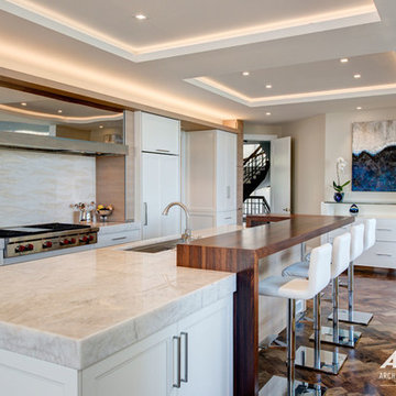 Lakefront Wilmette Kitchen