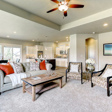 2015 Spring Parade Home