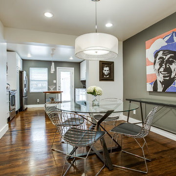 Modern Oak Lawn Condo Renovation