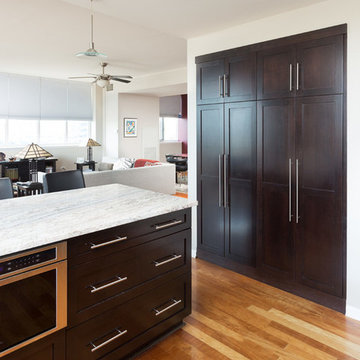 South Loop Kitchen Remodeling