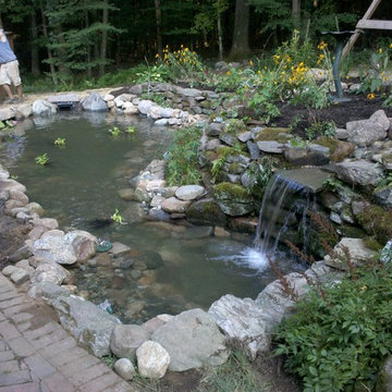 Back Yard Pond - Avon