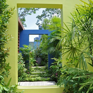 Tropical Garden
