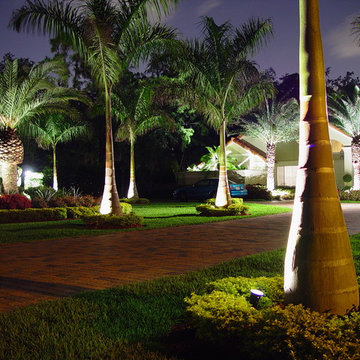 Coral Springs - Frontyard