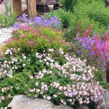Artist's country garden