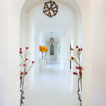 Indian Creek Island Transitional