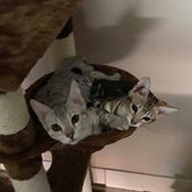 Sandy Sanders's photo