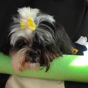 Foto von Milly Oscar Collier