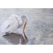 Paula Waterman's photo
