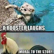 Alron Son's photo