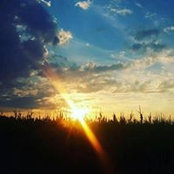 Petra WD's photo