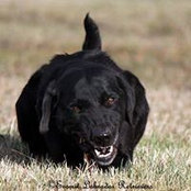 Erin Lynes's photo