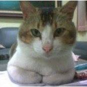 Muhammad Ardhi's photo
