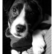 Jenni Hesse's photo