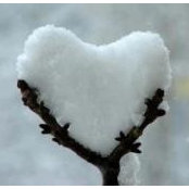 Wendy Bartelson's photo