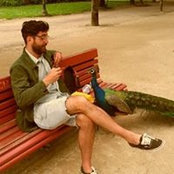 Simone Zoppi's photo