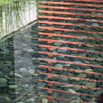 Wild Harbor Garden