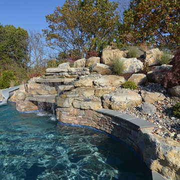 Custom Freeform style salt water in ground pool with Waterslide and Spa