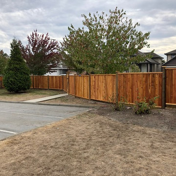 #1 grade cedar overlap board panels + pre stain 200+ linear feet