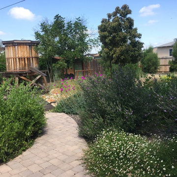 Dry Creek Bed and Rain Water Harvesting in El Cajon