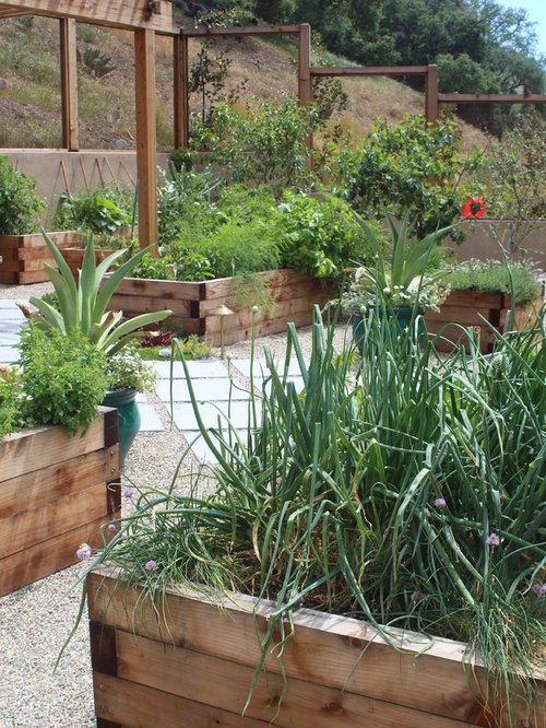 Cinder Block Raised Bed Garden Ideas, Pictures, Remodel and Decor