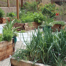 Landscape Ideas