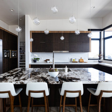Contemporary Kitchen Island Pendant Lighting. Reflection Twig