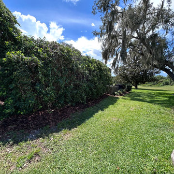 New Mulch Design and Installation