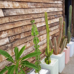 Concrete planters - Outdoor Pots And Planters