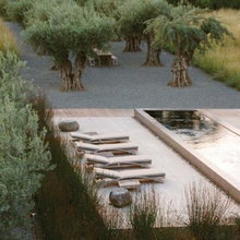Landscape 660