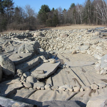 Charlotte Natural Swimming Pond