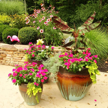 Summer Containers