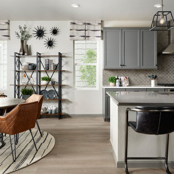 Tri Pointe Homes - Sterling Ranch 3504