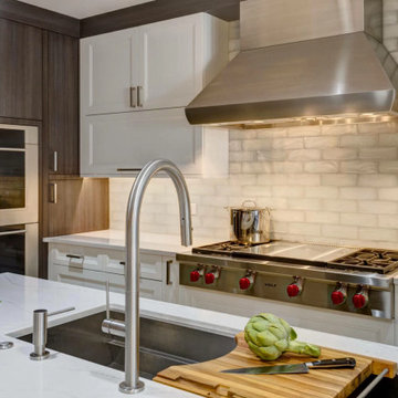 Contemporary kitchen cabinets