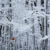 Sean Clore's photo