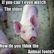 Kirsty Lingman's photo