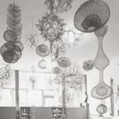 Maria DeFelice's photo