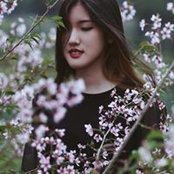 Sally Nguyen's photo