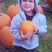 Susan Benfer-Mirch's photo
