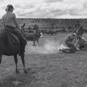 Emily Weibel's photo