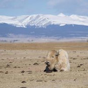 Cathy Gadomski's photo