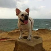 Photo de DINO Luo