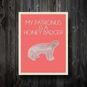 JoAnn Michele's photo