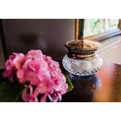 Catherine Ward's photo